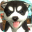 Dog Sim Puppy Craft 1.01