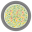 Color Vision Test Lite