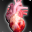 Circulatory System 3D Anatomy 1.58