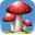 Forest Mushroom