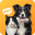 Pet Translator Prank: Dog, Cat 1.2.1