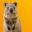 Quokka Selfie 1.0.1