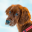 Puppy Journal - Your Dog Diary 1.02