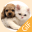 Pet Stickers - Cats & Dogs Animated Gif Stickers 1.0.1