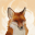 The Fox in the Forest 1.0.2