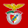 Benfica Official App 7.800.2