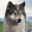 Wolf Game: Wild Animal Wars 1.0.42