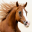 Horses Jigsaw Puzzles for Kids 1.1