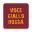 Voce Giallorossa 7.7.1