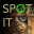 Spot it Photo Hunt Game 2.0.0