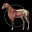 Horse Anatomy: Equine 3D 4.2