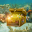 Underwater Treasure Escape 1.0.2