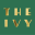 The Ivy 1.16