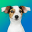 Dog Breeds Quiz: Guess the Pet 1.10