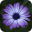 Flower Wallpaper 1.13