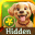 Hidden Fun-Find out object!