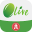 Hang Seng Olive