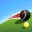 Virtual Lawn Bowls 1.6.5