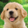 My Dog & Me: Puppy Simulator 1.7.6