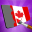 Flag Painting - Painters Games 1.0.1