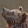 Guess the Animal Sounds 1.7.0