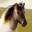 Horse Soundboard 1.4