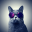 Cats Wallpapers 4K HQ Notch