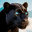 Wild Black Panther Furious Sim 1.4