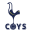 COYS - Live Scores & News 10.2