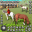 My Horse Simulator Horse Games 1.0.5