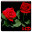 Red Rose APUS Live Wallpaper 1.0