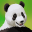 Abandoned Zoo: Pandas 23.01.270