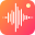 Voice Recorder Pro