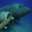 UnderWater Airplane Escape 1.0.3