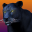 Deadly Black Panther - WIld Animal Simulator 3D 1.0