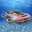 Floating Underwater Car Simulator 1.0